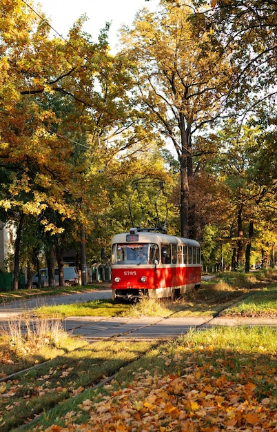 Rote Retro-Straßenbahn fährt entlang der Strecke durch den Herbstwald Herbstlandschaft mit Straßenbahn