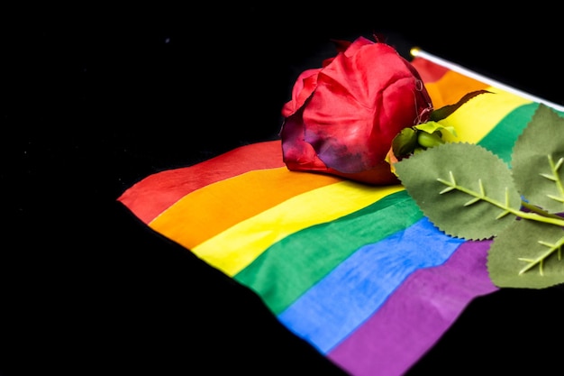 Rote Rose auf LGBTQ-Flagge auf schwarzem Hintergrund Eine rote Rose auf einer Regenbogenfahne