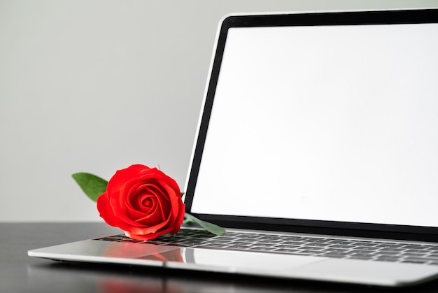 Rote Rose und der Laptop an Deck, Valentine-Konzept