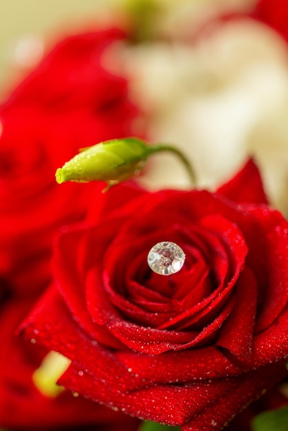 Rote Rose und Diamant