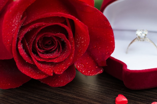 Rote Rose und Verlobungsring