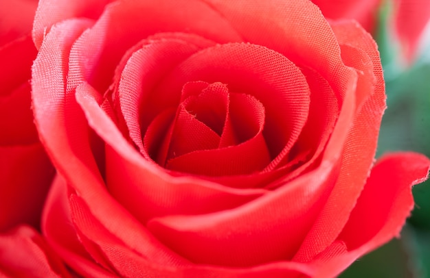 Rote Rosen als Valentinsgrußgeschenk