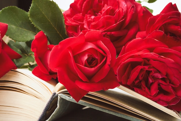 Rote Rosen auf einem offenen Buch auf einer hellen Steinoberfläche. Das Konzept der romantischen Literatur. Flache Lage, Draufsicht