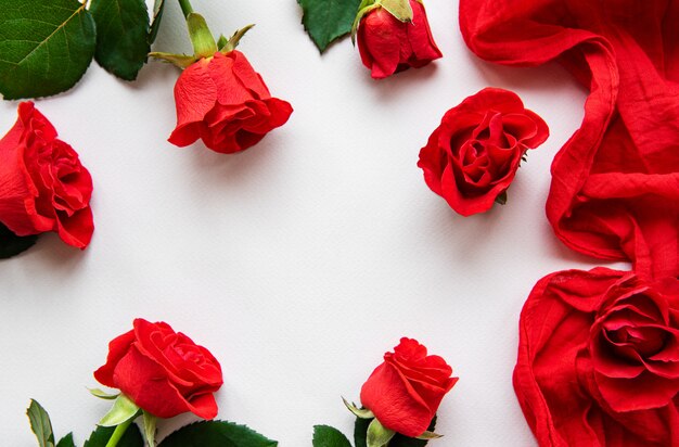Rote Rosen auf weißem Hintergrund für Valentinsgruß