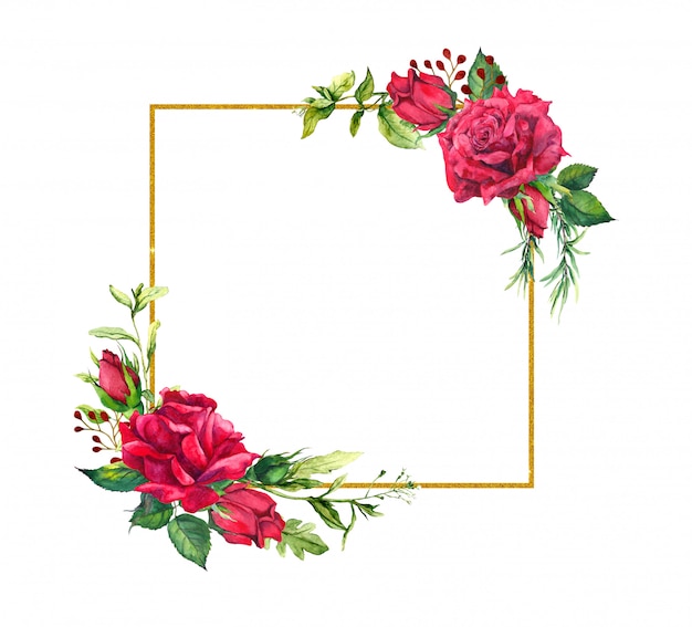 Rote Rosen, quadratische goldene Grenze. Aquarellrahmen mit Blumen, wildem Gras und Gold