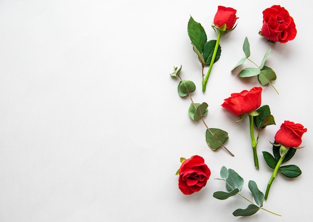 Rote Rosen und Eukalyptus