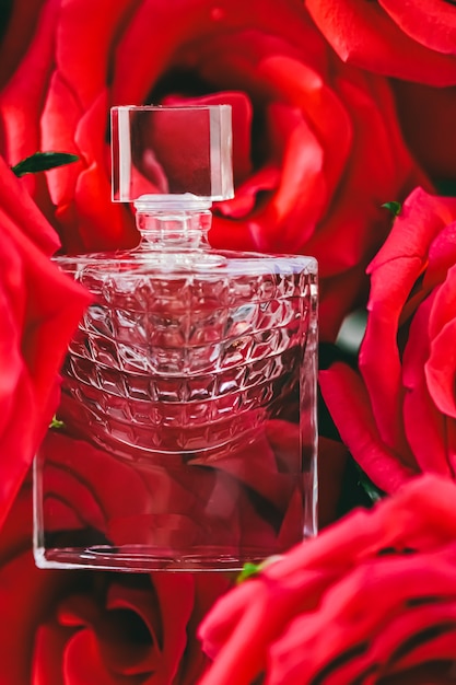 Rote Rosen und Parfüm in der Sommerparfümerie als Luxusgeschenkschönheits-Flatlay-Hintergrund und Kosmetikprodukt ...