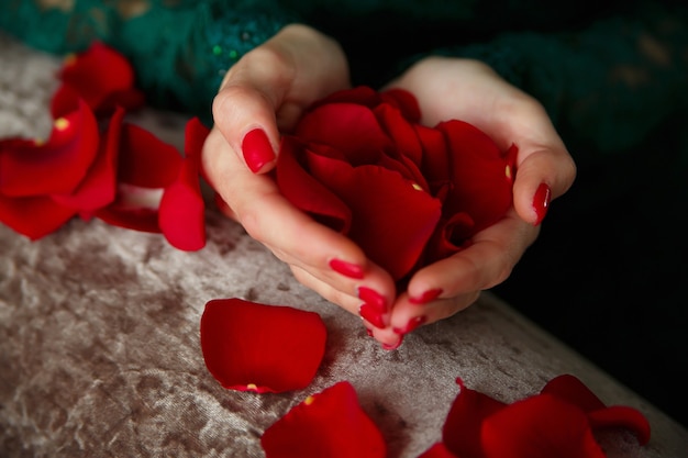 Rote Rosenblätter in den Handflächen eines Mädchens