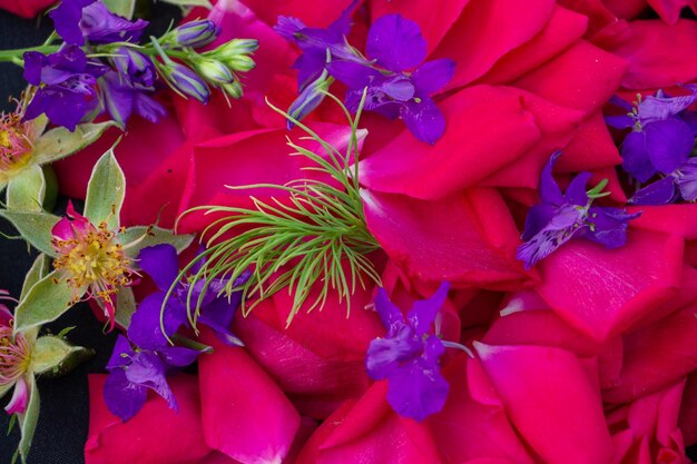 Rote Rosenblätter mit blauen Blumen auf schwarzem Hintergrund flach gelegt