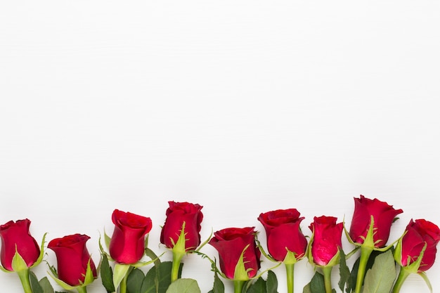 Rote Rosenblüten auf Weiß.