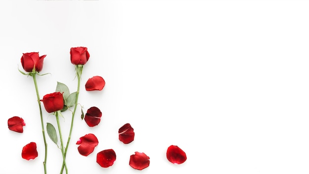 Rote Rosenblumen