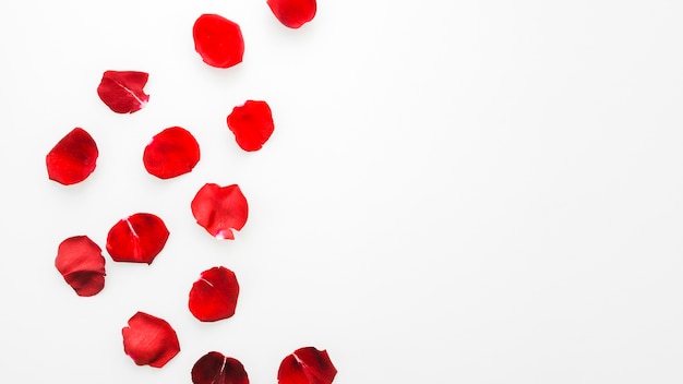 Rote Rosenblumen