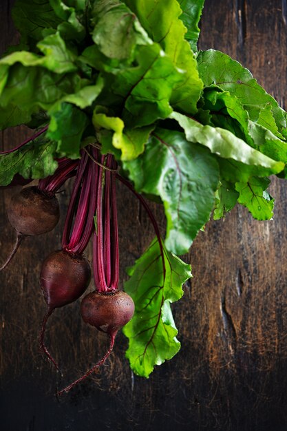 Rote Rote-Bete-Wurzeln mit Kräutergrün verlässt auf rustikalem. Bio Rote Beete. copyspace