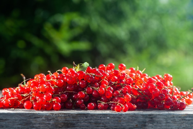 Rote saftige Beeren von roten Johannisbeeren auf einem Holztisch auf grünem Hintergrund des Themas Gartenernte