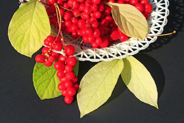 Foto rote schisandra-beeren auf dem teller