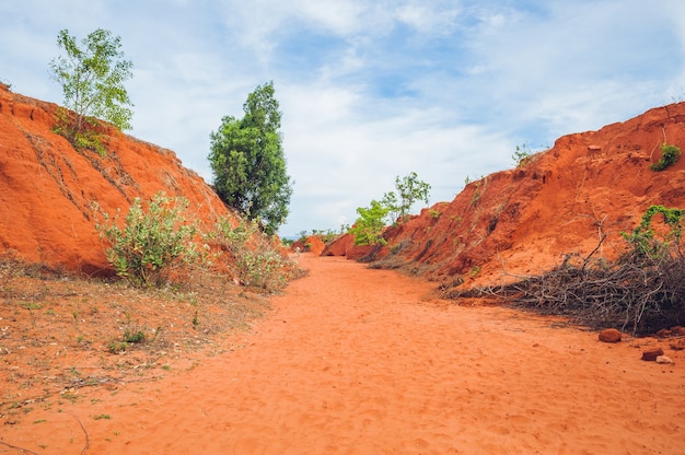 Rote Schlucht in der Nähe von Mui Ne Südvietnam