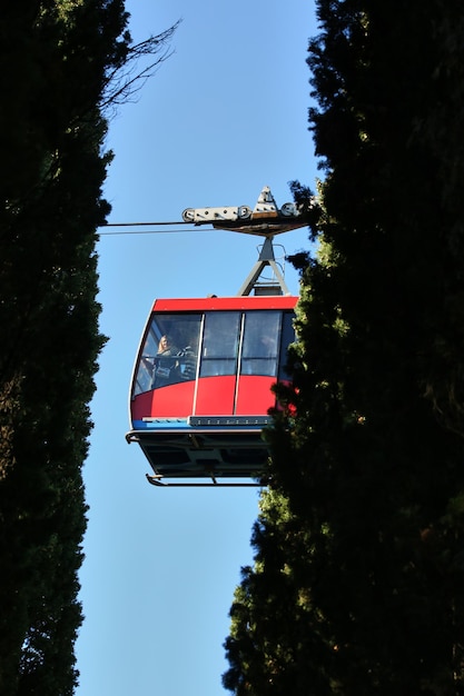 Foto rote seilbahn mit menschen, die durch den wald gehen.