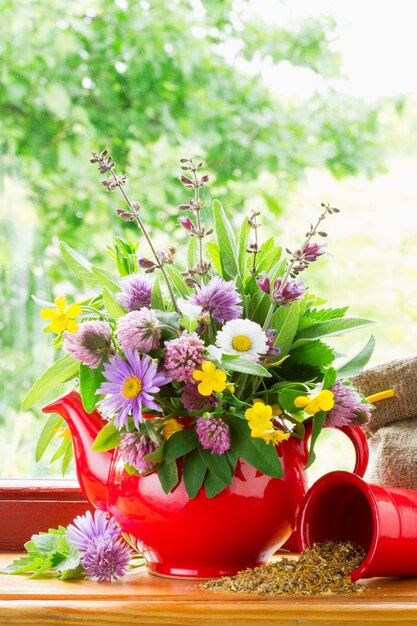 Rote Teekanne mit Blumenstrauß aus Heilkräutern und Blumen auf der Fensterbank