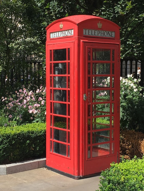 Rote Telefonzelle neben Pflanzen im Park