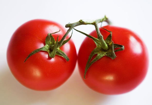 Rote Tomaten auf einem grünen Zweig