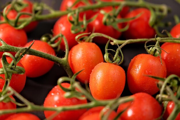 Rote Tomaten auf einem Zweig Tropfen Wasser, Nahaufnahme