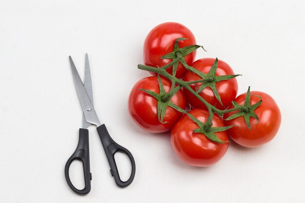 Rote Tomaten auf grünem Ast und Schere