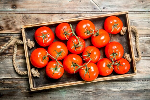 Rote Tomaten auf Tablett