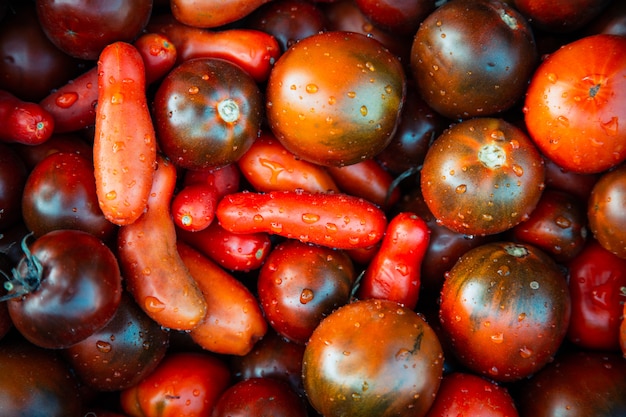 Rote Tomaten Hintergrund. Neue organische Tomatenbeschaffenheit