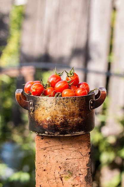 Rote Tomaten in einer alten Schüssel auf einem hölzernen Brett draußen