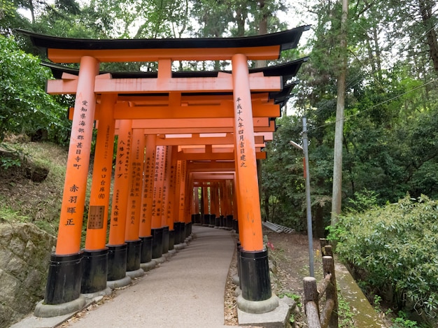 Rote Tori-Tore in Fushimi-Inari Taisha, Kyoto, Japan.