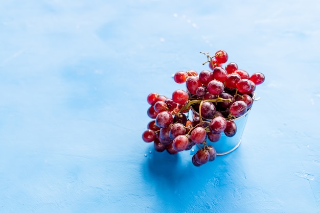 Rote Traube mit Wassertropfen, Nahaufnahme, lokalisiert auf blauem Hintergrund. Frische rote Trauben. Erntezeit.