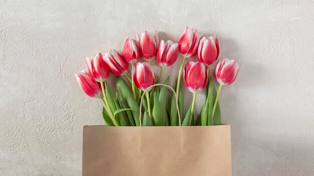 Rote Tulpen als Geschenk zum Frauen- oder Muttertag Blumenstrauß aus Tulpen Hintergrund mit Kopierraum
