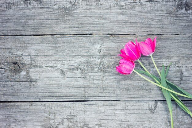 Rote Tulpen auf hölzernem Hintergrund. Rot und Weiß.