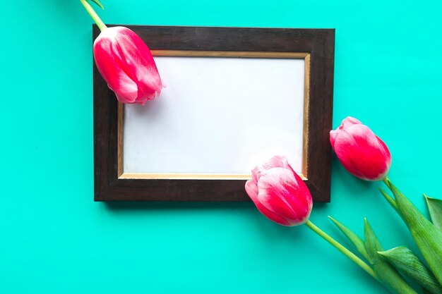 Rote Tulpen und ein Fotorahmen auf hellgrünem Hintergrund