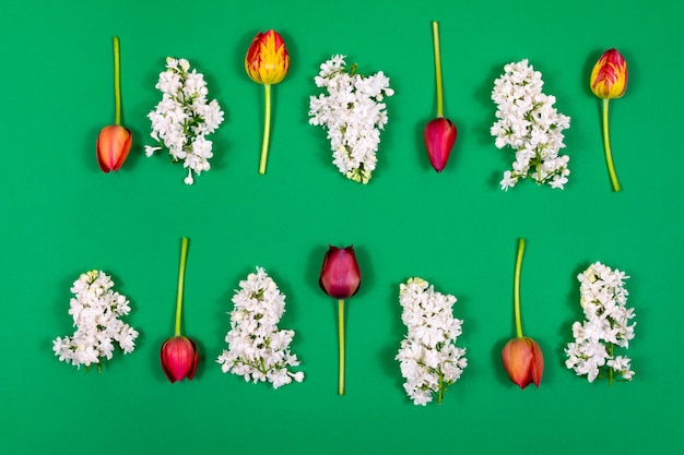 Rote Tulpen und weißer Flieder auf grünem Hintergrund, Ansicht von oben, leer für Postkarten, Muttertag, Frauentag