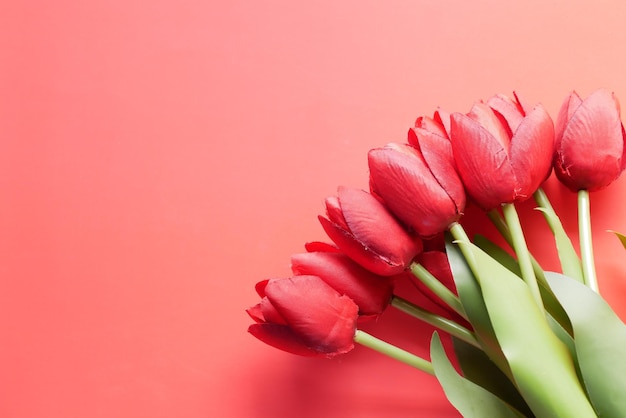 Rote tulpenblume auf dem tisch mit kopierraum