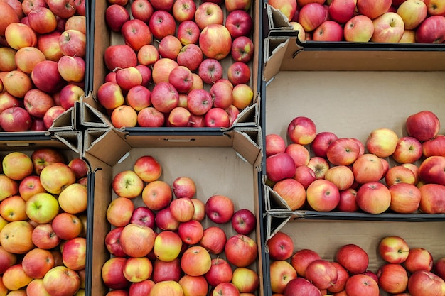 Rote und gelbe Äpfel im Karton