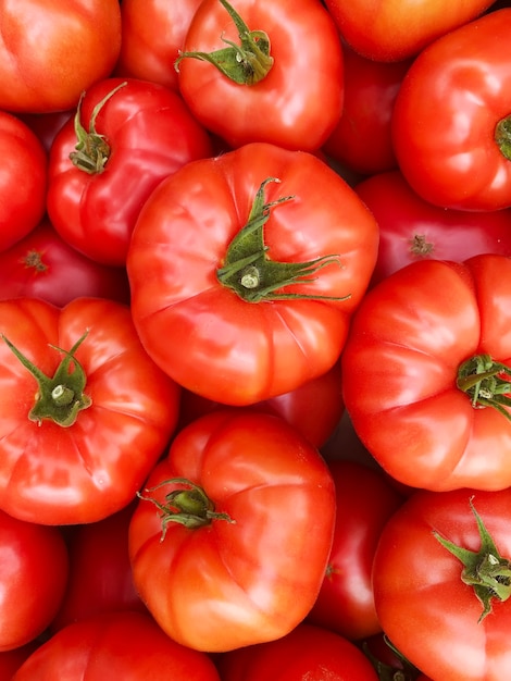 Rote und gelbe Tomaten in Kisten auf dem Bauernmarkt. Selektiver Fokus. Natur