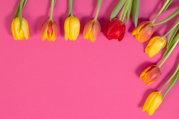 Rote und gelbe Tulpen auf rosa Oberfläche