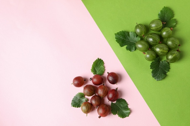 Rote und grüne stachelbeere auf zweifarbigem hintergrund