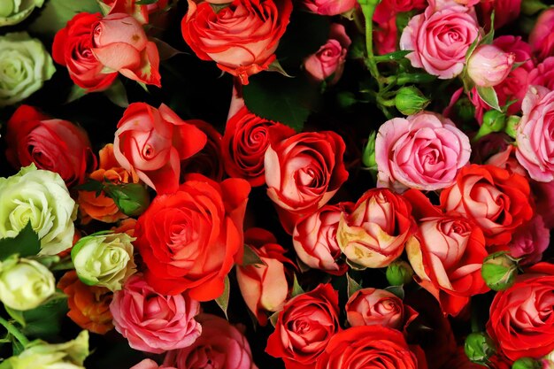 Rote und rosa Rosenblüten im Blumenstrauß in Nahaufnahme