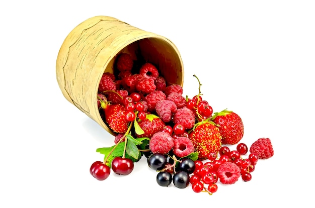 Rote und schwarze Johannisbeeren, Himbeeren, Erdbeeren, Kirschen mit grünen Blättern in einer Schüssel