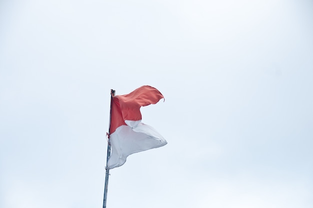 Rote und weiße indonesische flagge auf weißem backgroud