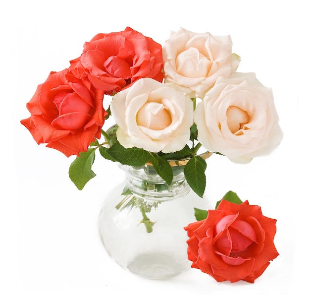 rote und weiße Rosen Bündel in der Vase auf Weiß, Nahaufnahme