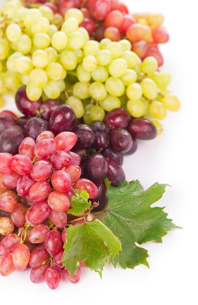 Rote und weiße Tafeltrauben Weintrauben