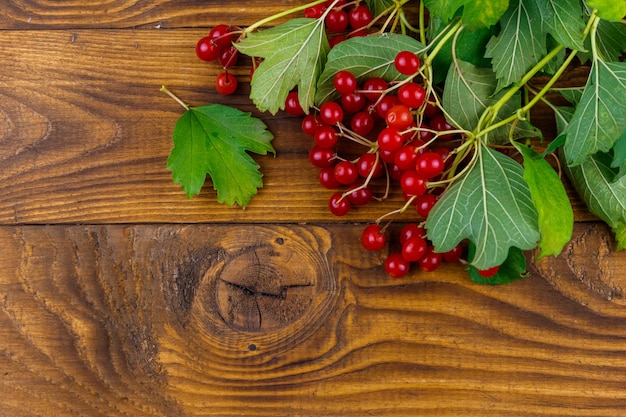 Rote Viburnumbeeren mit grünen Blättern auf Draufsichtkopierraum des Holztischs