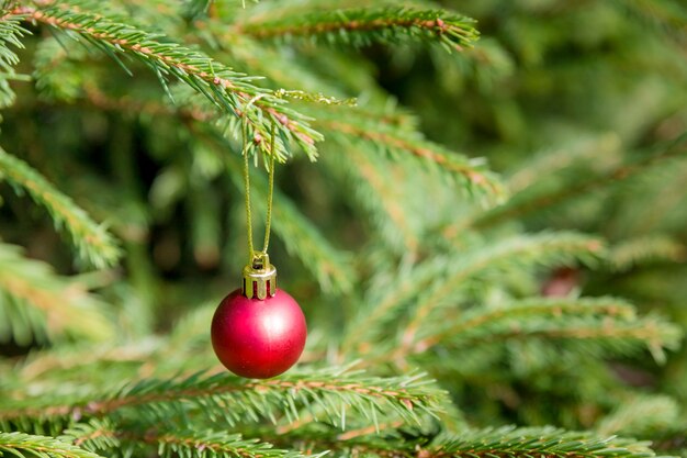 Rote Weihnachtskugeldekoration auf einem Weihnachtsbaum.