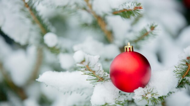 Rote Weihnachtskugeln auf Schneekiefernzweig im Freien