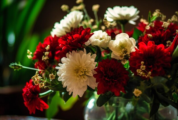 rote weiße Blumen in einer Vase