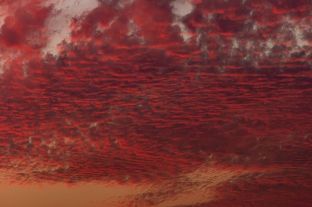 Foto rote wolken unter dem abendhimmel foto